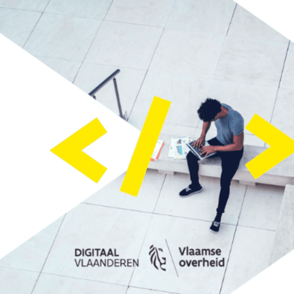 digitaal vlaanderen campaign image
